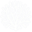 Saraswati Coral Logo
